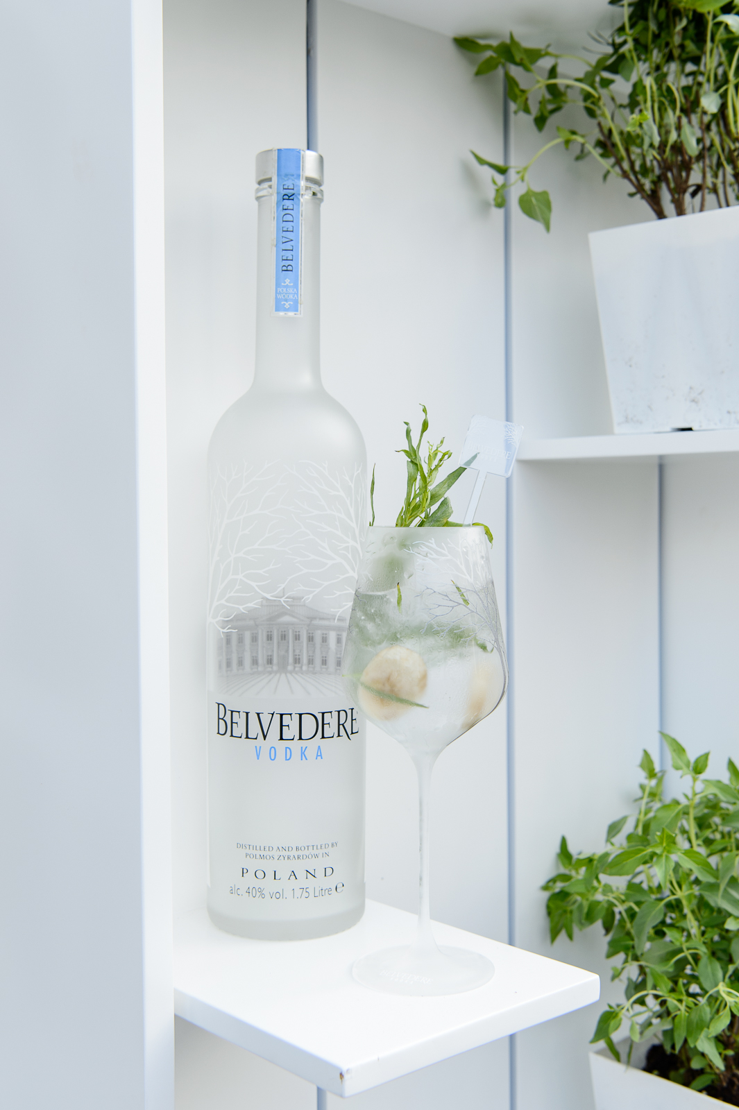 Belvedere Vodka Review